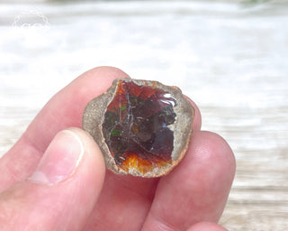 Chocolate Opal - Ethiopia #3