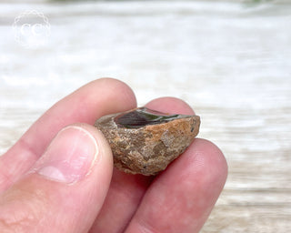 Chocolate Opal - Ethiopia #3