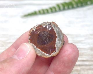 Chocolate Opal - Ethiopia #4