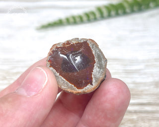Chocolate Opal - Ethiopia #4