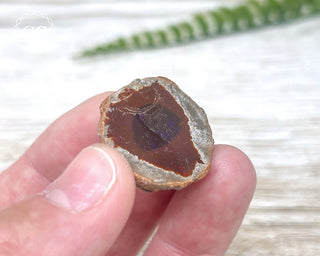 Chocolate Opal - Ethiopia #4