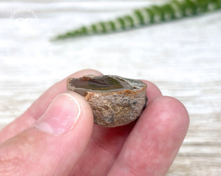 Chocolate Opal - Ethiopia #4