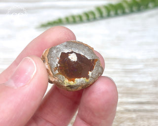 Chocolate Opal - Ethiopia #5