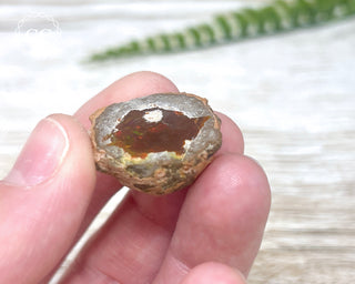 Chocolate Opal - Ethiopia #5