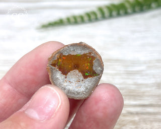Chocolate Opal - Ethiopia #6