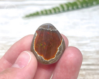 Chocolate Opal - Ethiopia #7