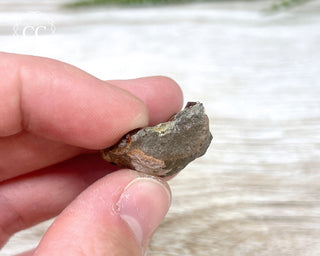 Chocolate Opal - Ethiopia #1