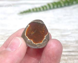 Chocolate Opal - Ethiopia #7