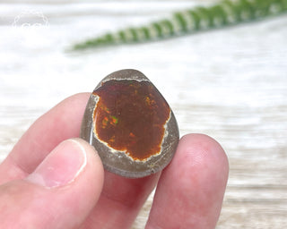 Chocolate Opal - Ethiopia #7