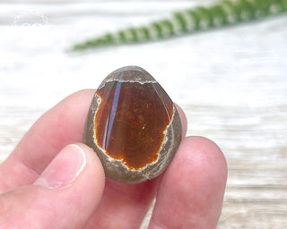Chocolate Opal - Ethiopia #7