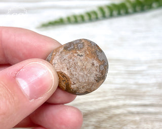 Chocolate Opal - Ethiopia #7