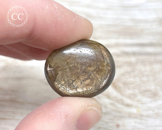 Chocolate Sapphire Polished Pebble #1