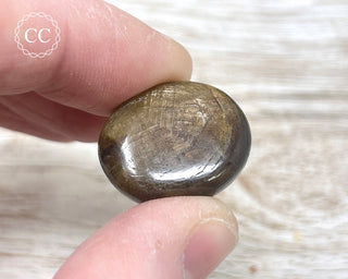 Chocolate Sapphire Polished Pebble #1