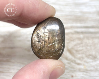 Chocolate Sapphire Polished Pebble #2