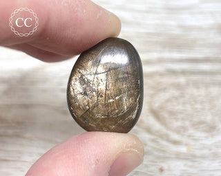 Chocolate Sapphire Polished Pebble #2