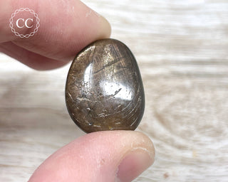 Chocolate Sapphire Polished Pebble #2