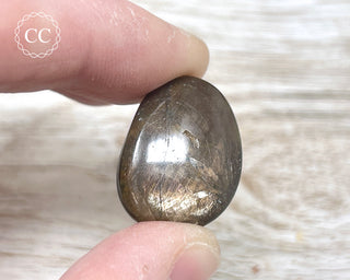 Chocolate Sapphire Polished Pebble #2