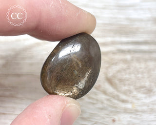Chocolate Sapphire Polished Pebble #2