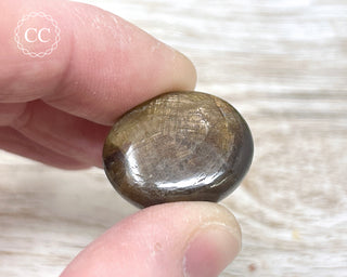 Chocolate Sapphire Polished Pebble #1