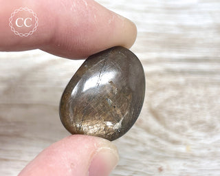 Chocolate Sapphire Polished Pebble #2