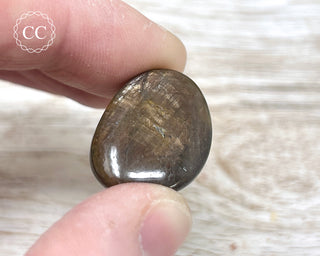 Chocolate Sapphire Polished Pebble #2