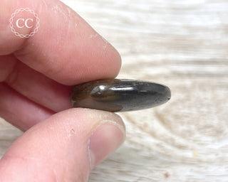Chocolate Sapphire Polished Pebble #2