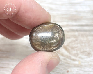 Chocolate Sapphire Polished Pebble #3