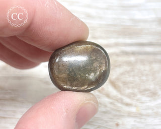 Chocolate Sapphire Polished Pebble #3