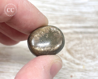 Chocolate Sapphire Polished Pebble #3