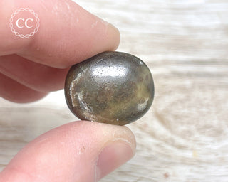Chocolate Sapphire Polished Pebble #3
