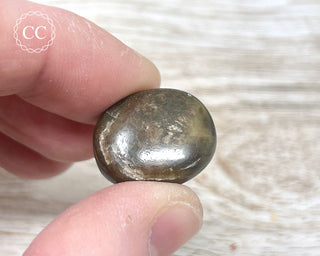 Chocolate Sapphire Polished Pebble #3