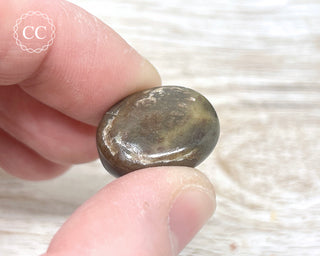 Chocolate Sapphire Polished Pebble #3