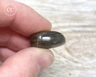 Chocolate Sapphire Polished Pebble #3