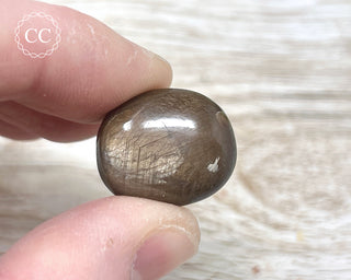 Chocolate Sapphire Polished Pebble #4