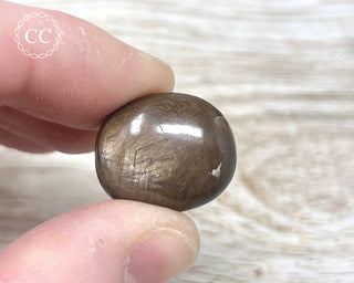 Chocolate Sapphire Polished Pebble #4
