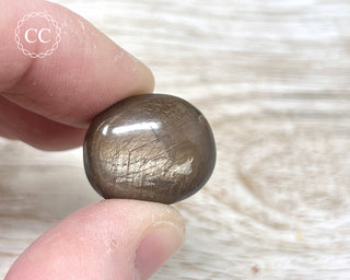 Chocolate Sapphire Polished Pebble #4