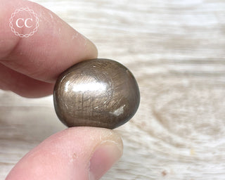 Chocolate Sapphire Polished Pebble #4