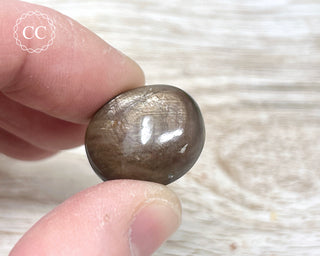 Chocolate Sapphire Polished Pebble #4
