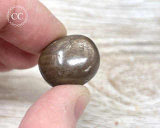 Chocolate Sapphire Polished Pebble #4