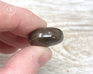 Chocolate Sapphire Polished Pebble #4