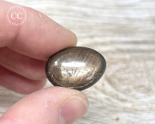 Chocolate Sapphire Polished Pebble #5