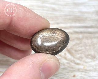 Chocolate Sapphire Polished Pebble #5