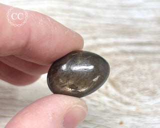 Chocolate Sapphire Polished Pebble #5