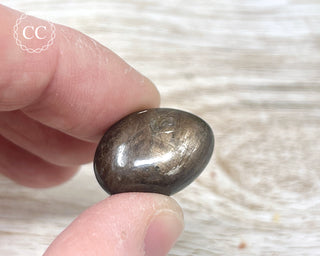 Chocolate Sapphire Polished Pebble #5
