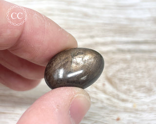 Chocolate Sapphire Polished Pebble #5