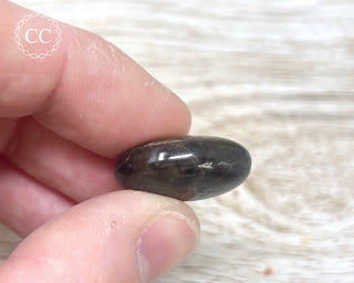 Chocolate Sapphire Polished Pebble #5