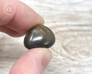 Chocolate Sapphire Polished Pebble #6