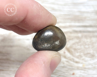 Chocolate Sapphire Polished Pebble #6