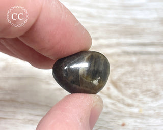Chocolate Sapphire Polished Pebble #6