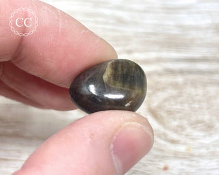 Chocolate Sapphire Polished Pebble #6
